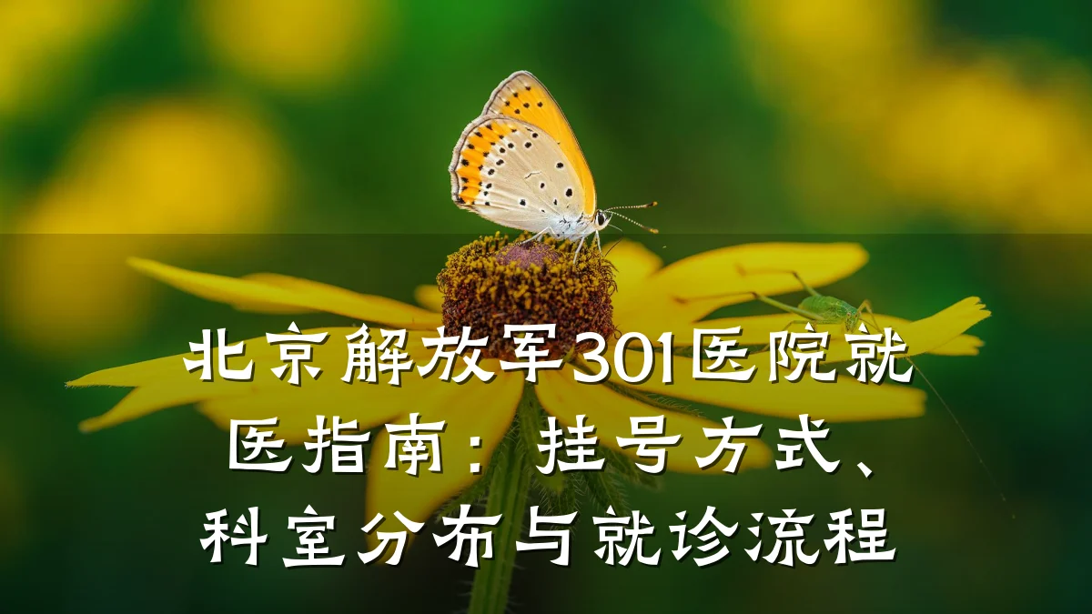 北京解放军301医院就医指南：挂号方式、科室分布与就诊流程