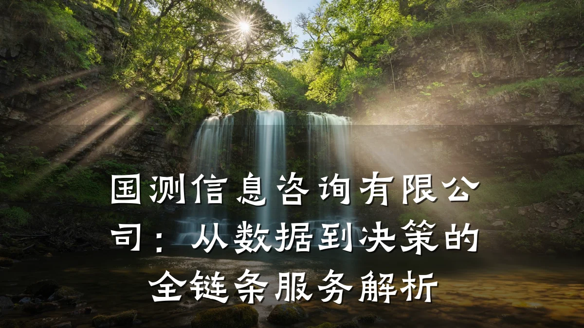 国测信息咨询有限公司:从数据到决策的全链条服务解析