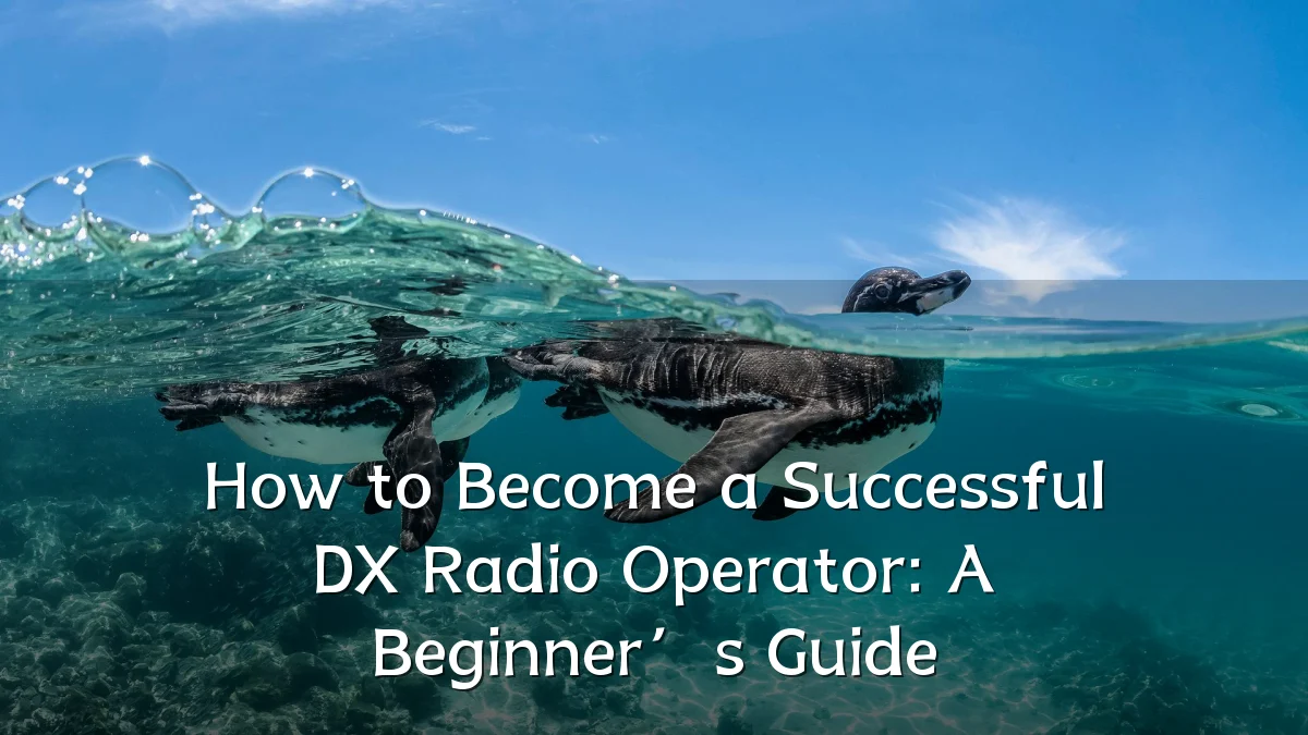 How to Become a Successful DX Radio Operator: A Beginner’s Guide