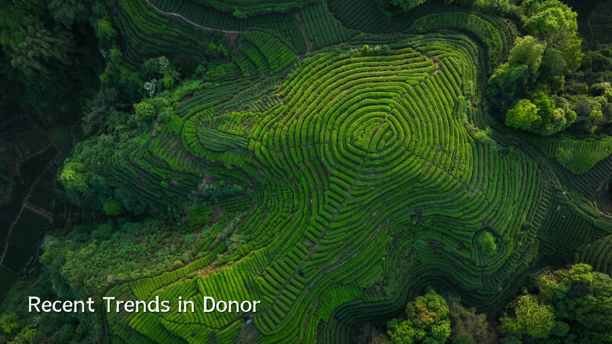 Recent Trends in Donor