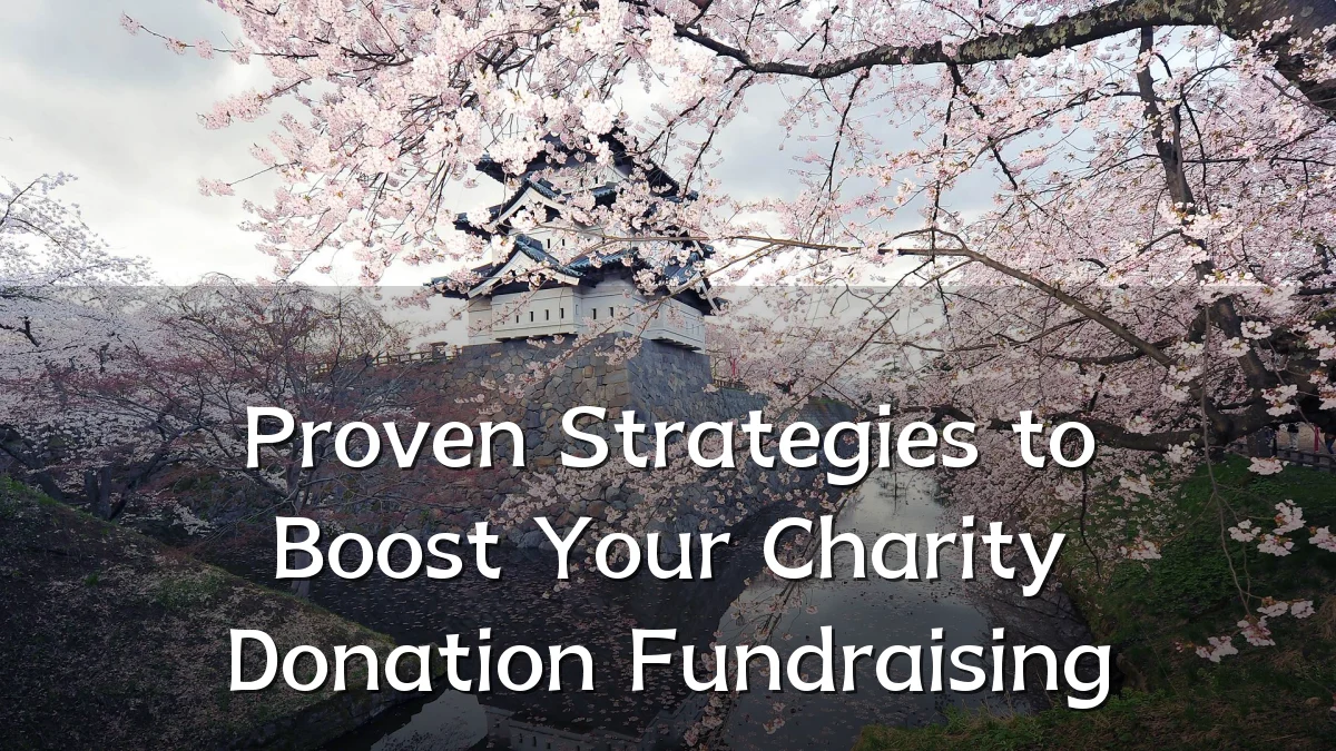 Proven Strategies to Boost Your Charity Donation Fundraising
