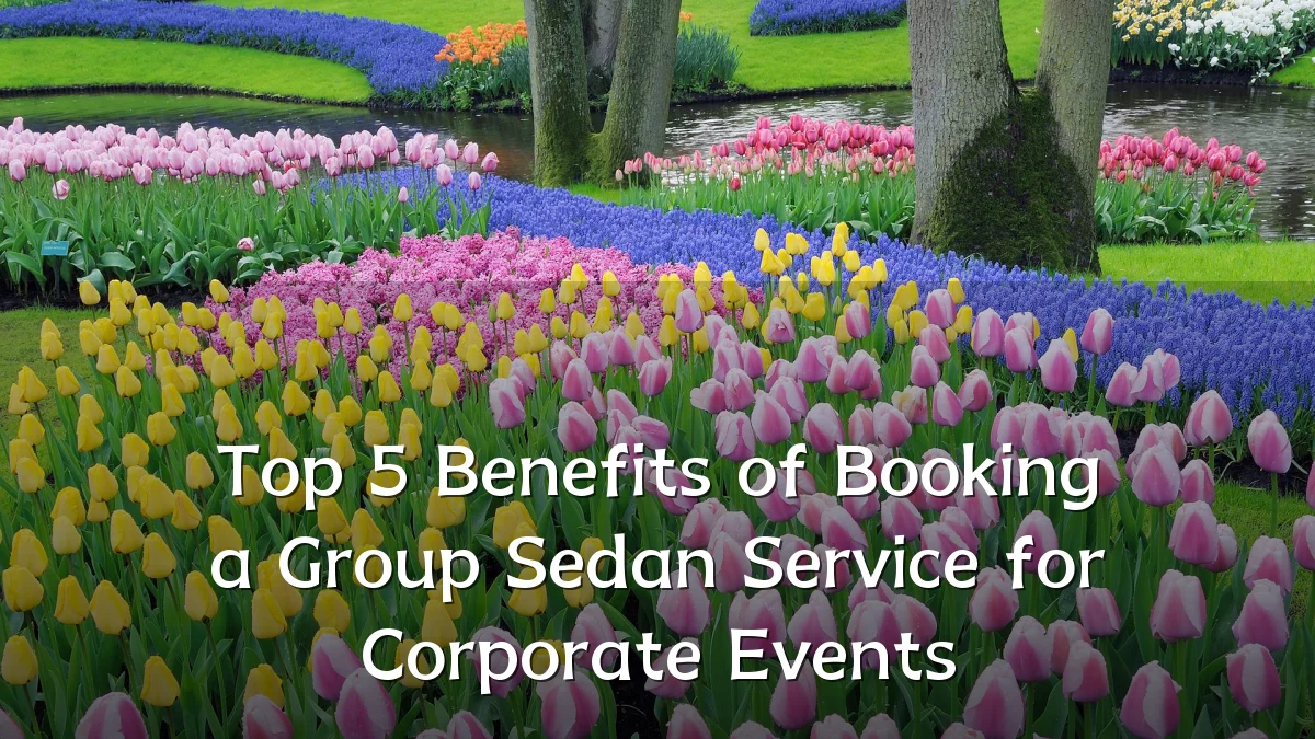 Top 5 Benefits of Booking a Group Sedan Service for Corporate Events