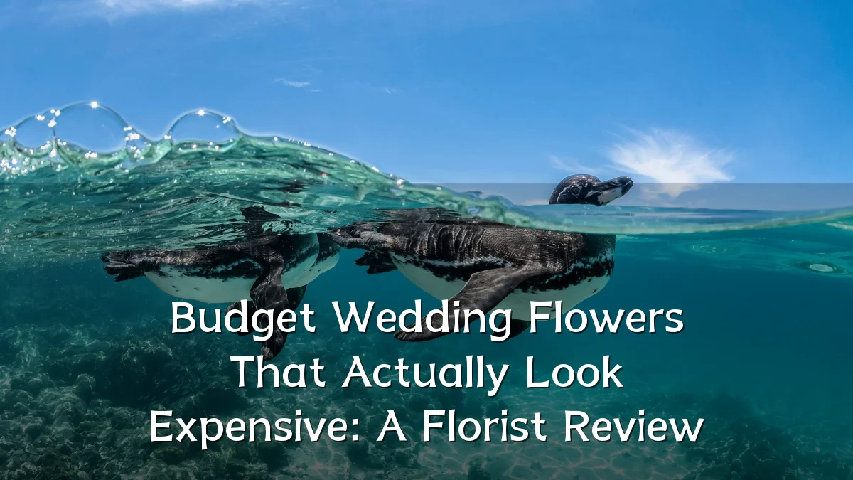 Budget Wedding Flowers That Actually Look Expensive: A Florist Review