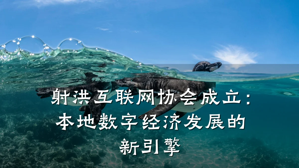 射洪互联网协会成立：本地数字经济发展的新引擎