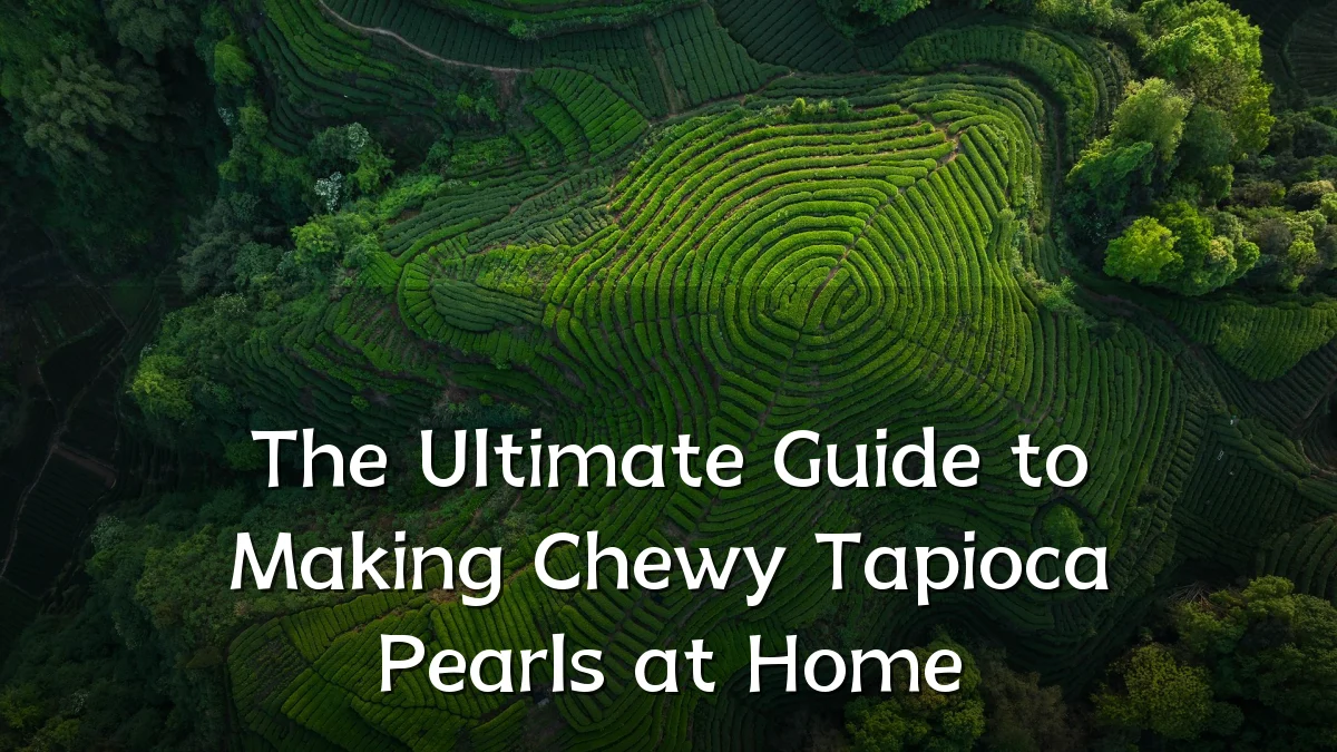 The Ultimate Guide to Making Chewy Tapioca Pearls at Home