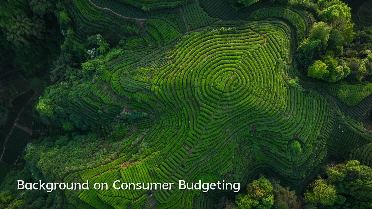 Background on Consumer Budgeting