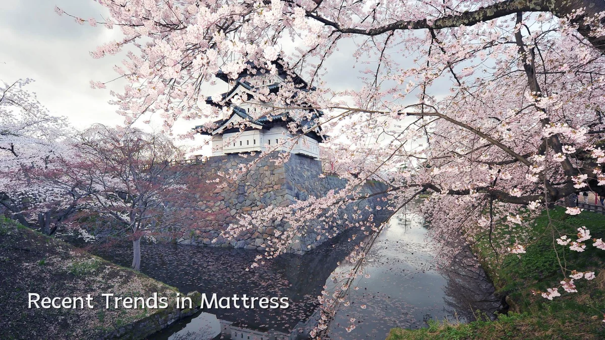 Recent Trends in Mattress