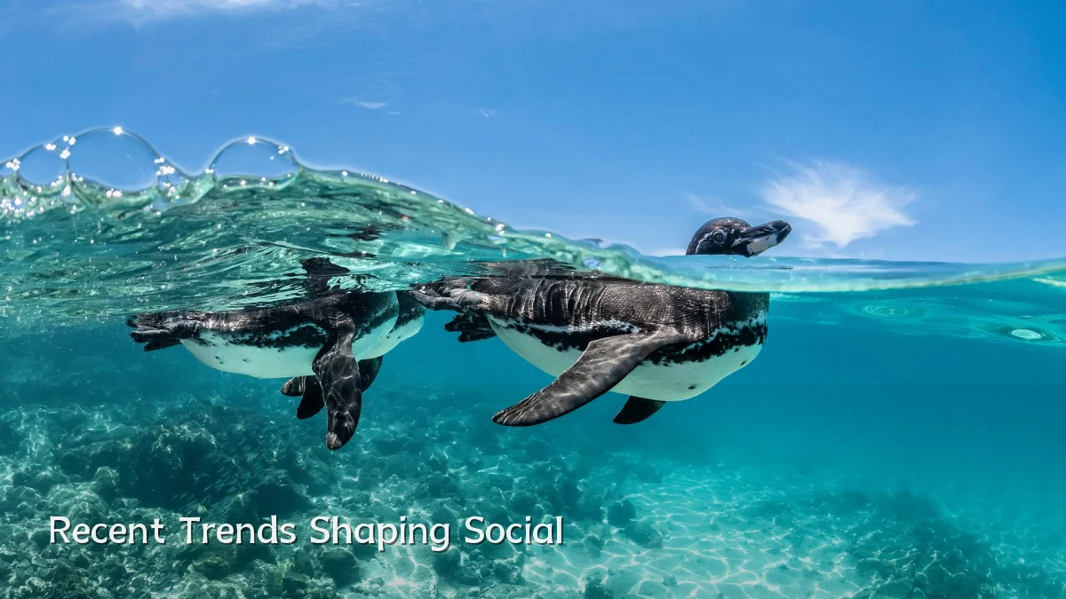 Recent Trends Shaping Social