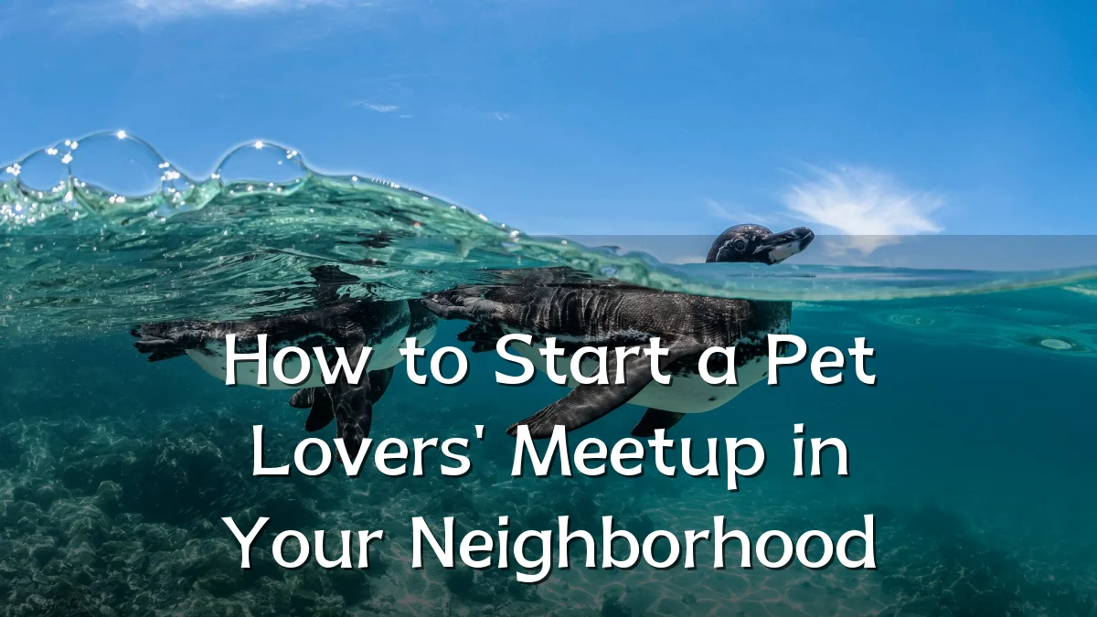 How to Start a Pet Lovers' Meetup in Your Neighborhood