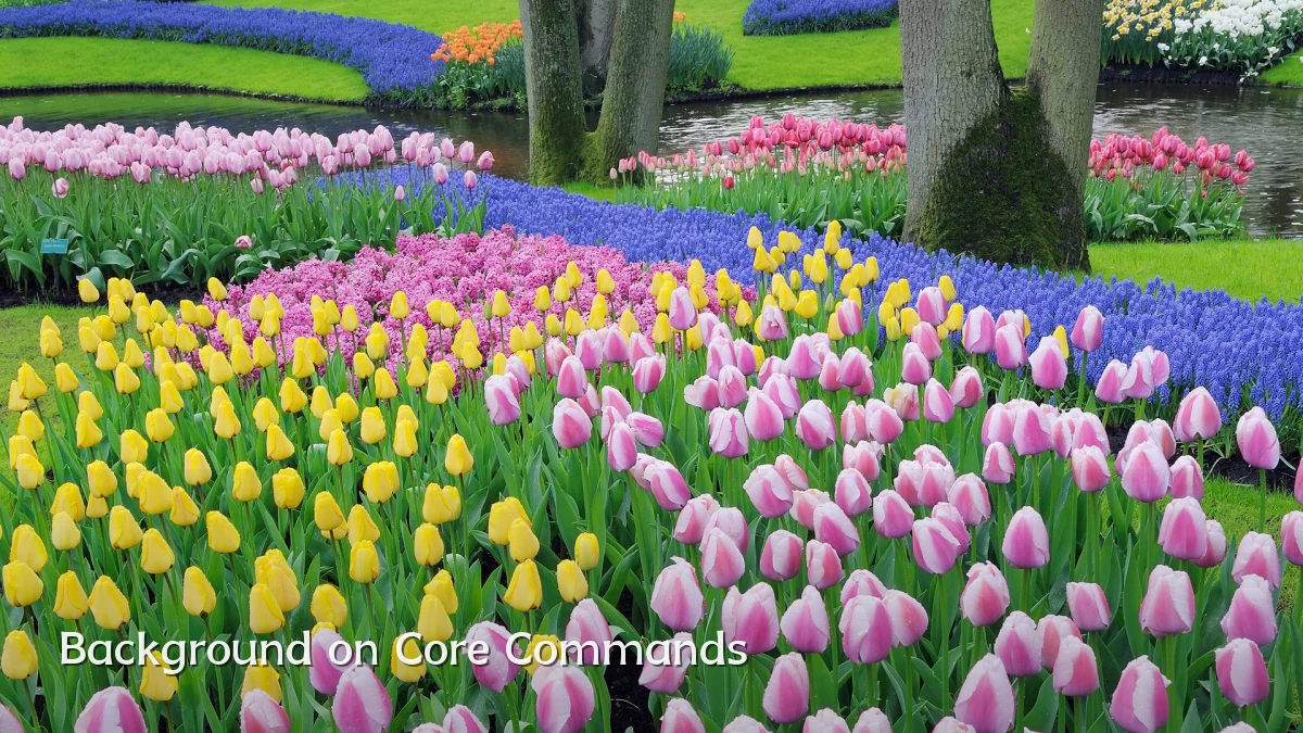 Background on Core Commands