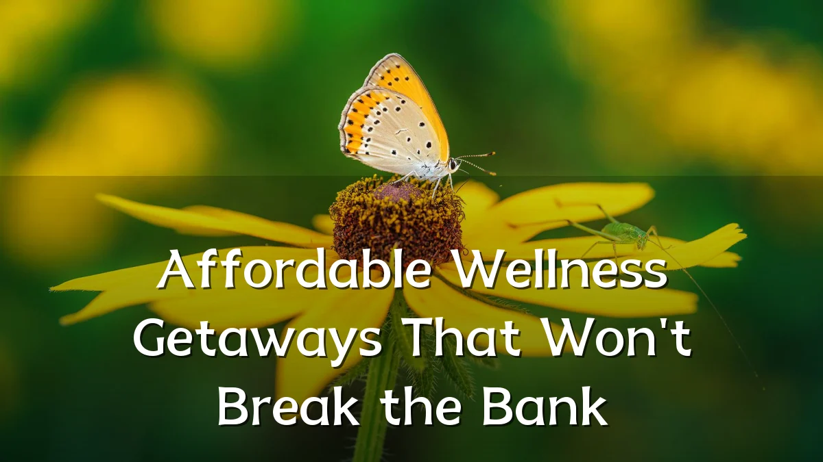Affordable Wellness Getaways That Won't Break the Bank