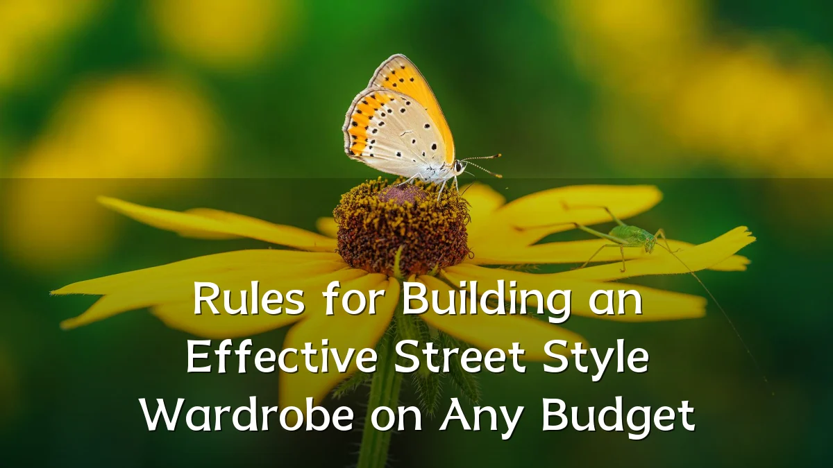 Rules for Building an Effective Street Style Wardrobe on Any Budget