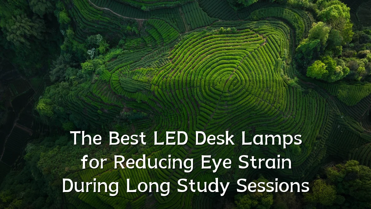 The Best LED Desk Lamps for Reducing Eye Strain During Long Study Sessions