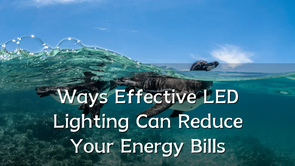 Ways Effective LED Lighting Can Reduce Your Energy Bills