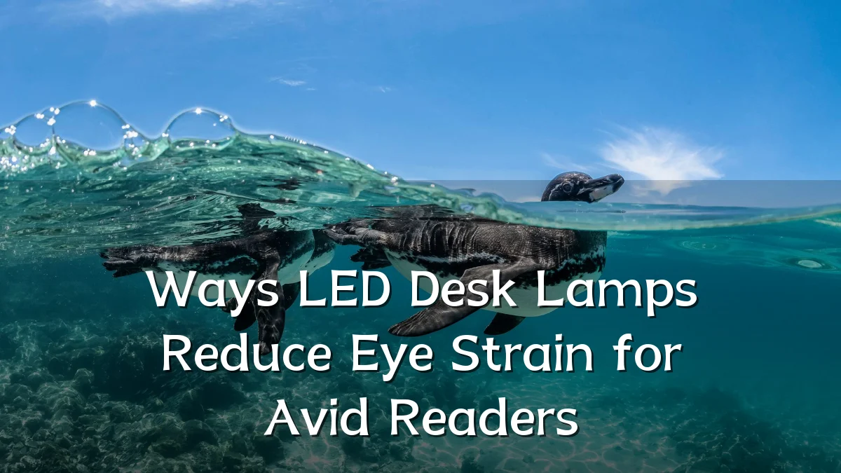 Ways LED Desk Lamps Reduce Eye Strain for Avid Readers