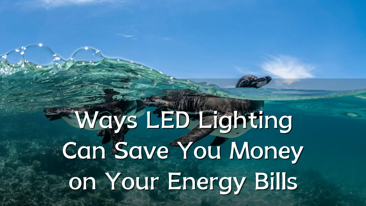 Ways LED Lighting Can Save You Money on Your Energy Bills
