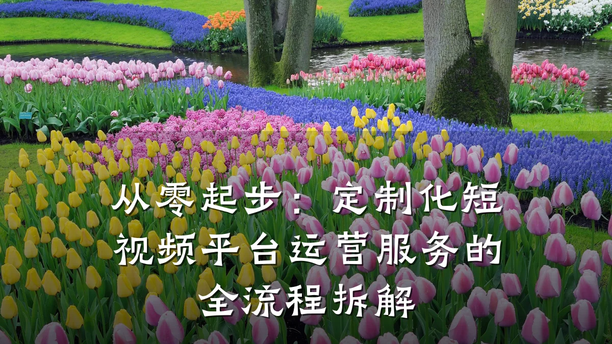 从零起步：定制化短视频平台运营服务的全流程拆解
