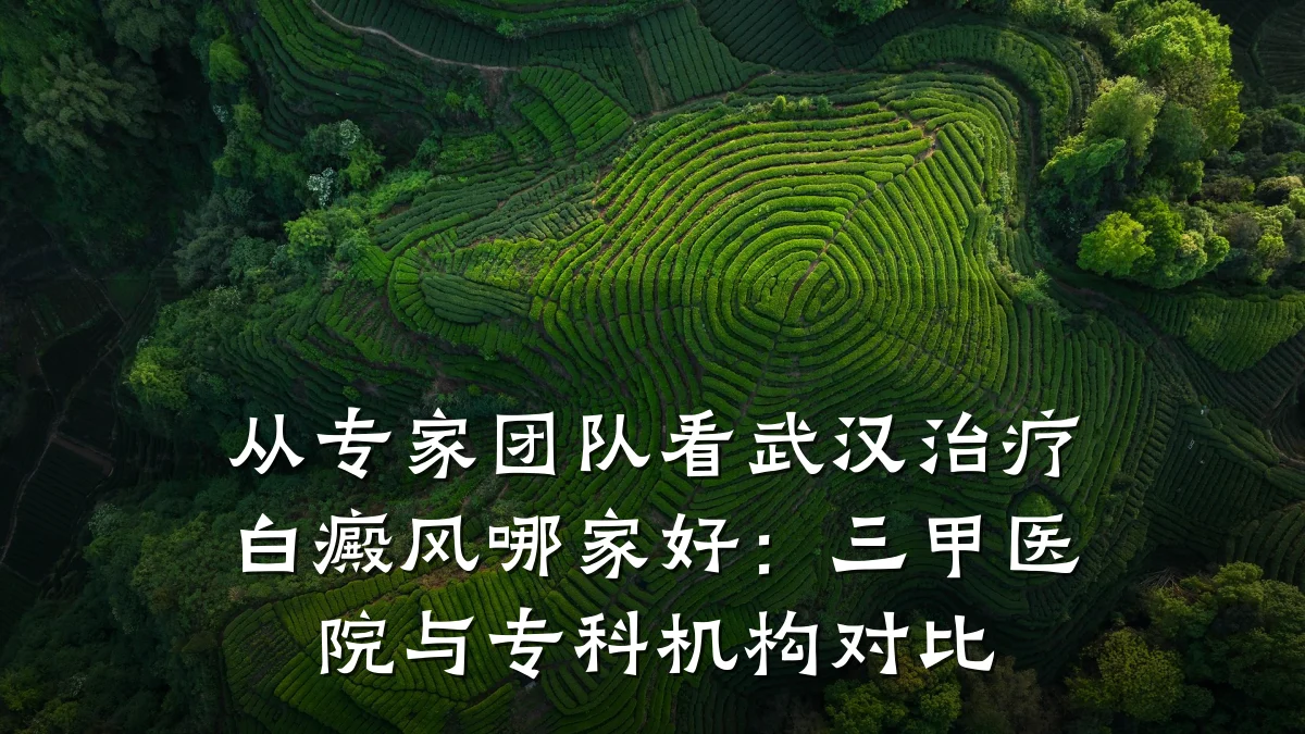 从专家团队看武汉治疗白癜风哪家好:三甲医院与专科机构对比