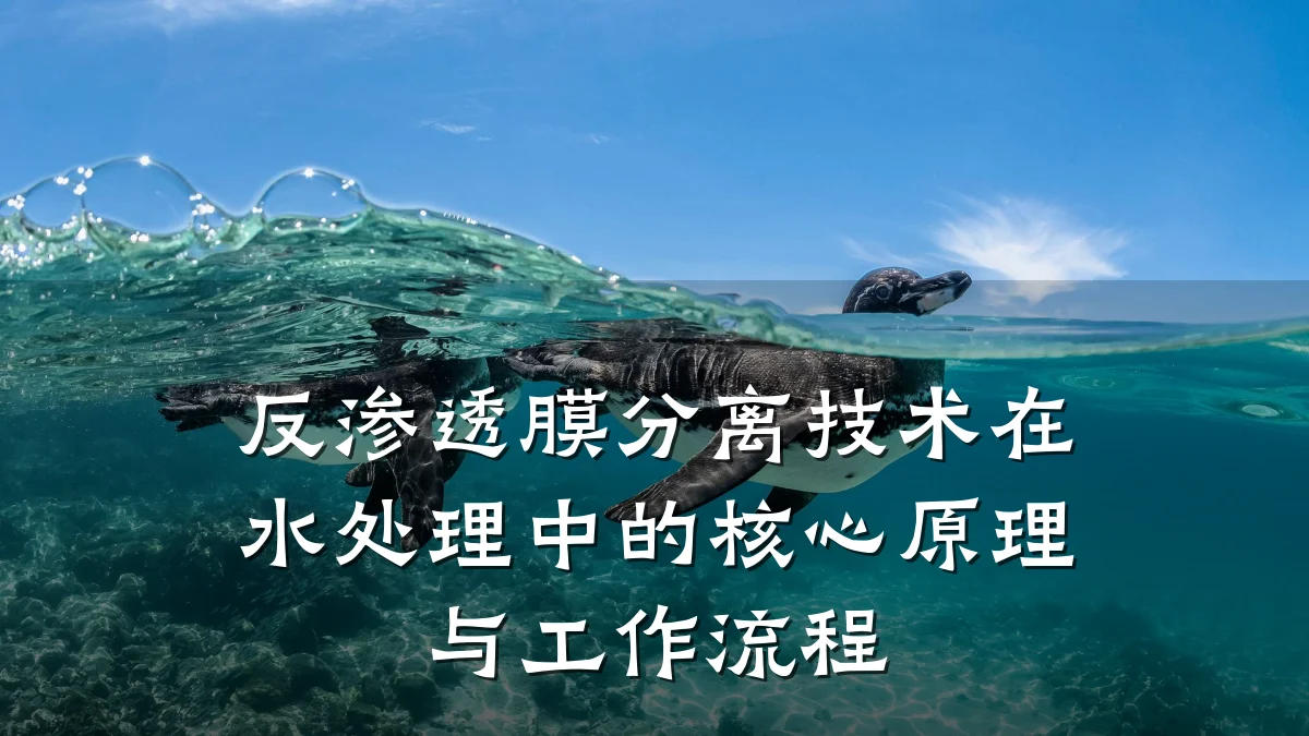 反渗透膜分离技术在水处理中的核心原理与工作流程
