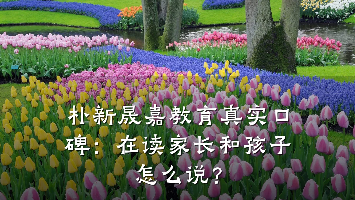 朴新晟嘉教育真实口碑：在读家长和孩子怎么说？