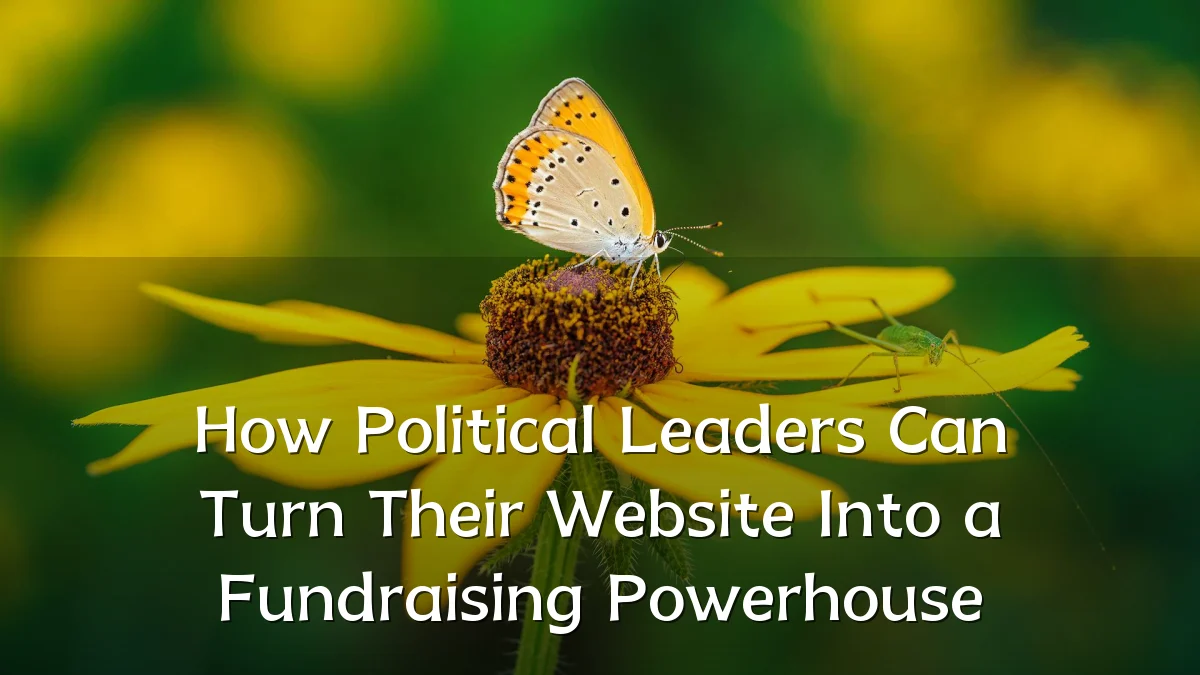 How Political Leaders Can Turn Their Website Into a Fundraising Powerhouse