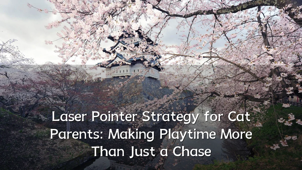 Laser Pointer Strategy for Cat Parents: Making Playtime More Than Just a Chase