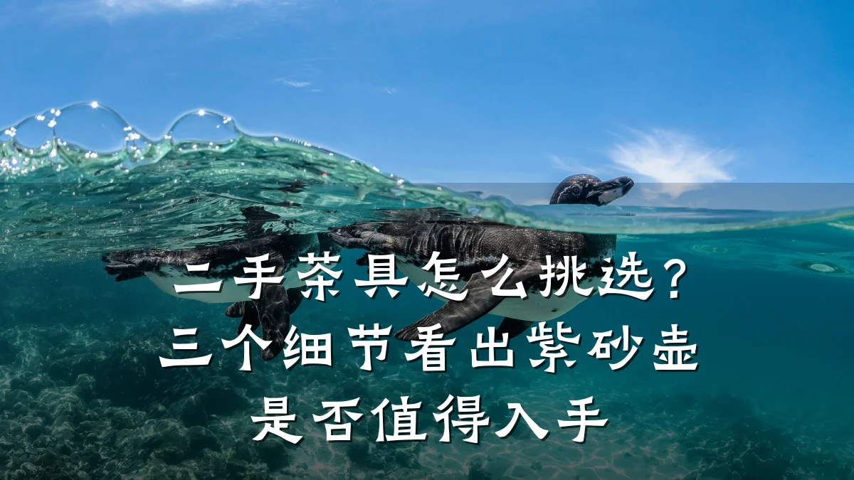 二手茶具怎么挑选?三个细节看出紫砂壶是否值得入手